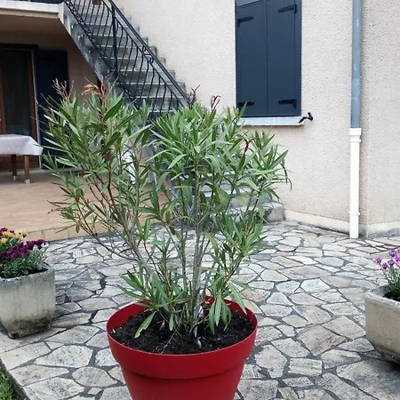 Aveyron Location בית נופש